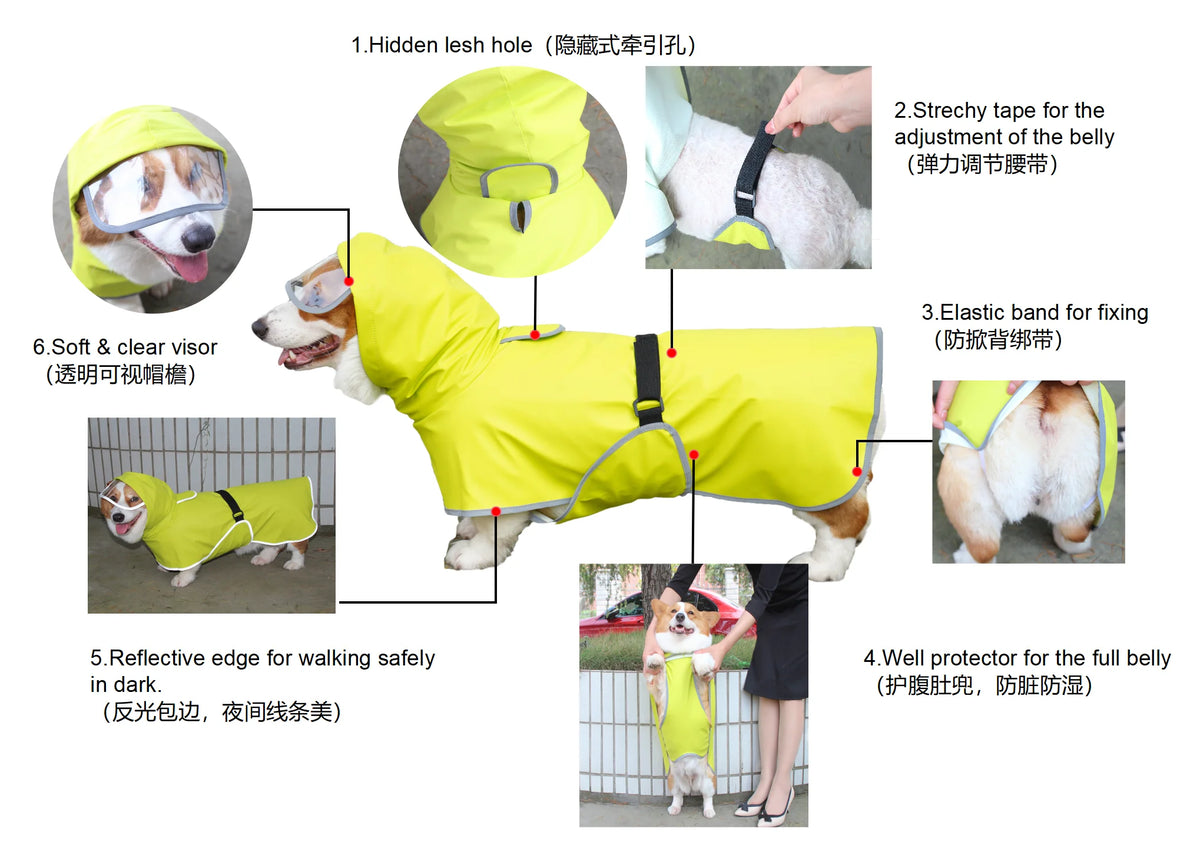 Chubasquero Verde Fluorescente con Capucha para Perros