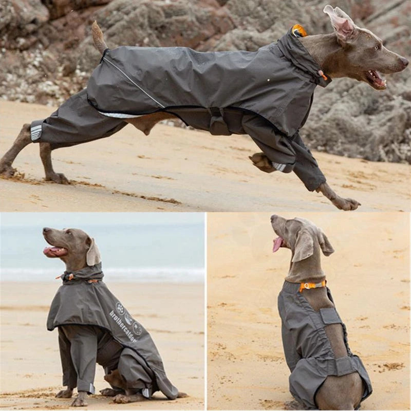 Chubasquero de Cuerpo Completo para Perros Medianos y Grandes