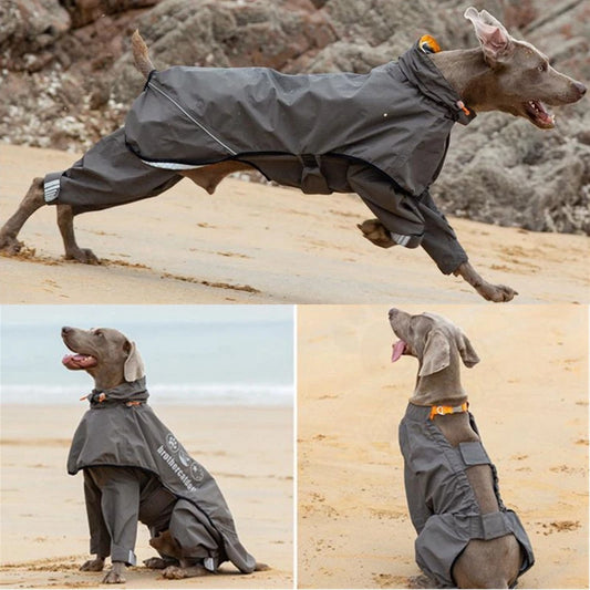 Chubasquero de Cuerpo Completo para Perros Medianos y Grandes