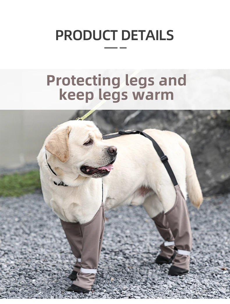 Botas Antideslizantes para Perro con Correas de Sujeción