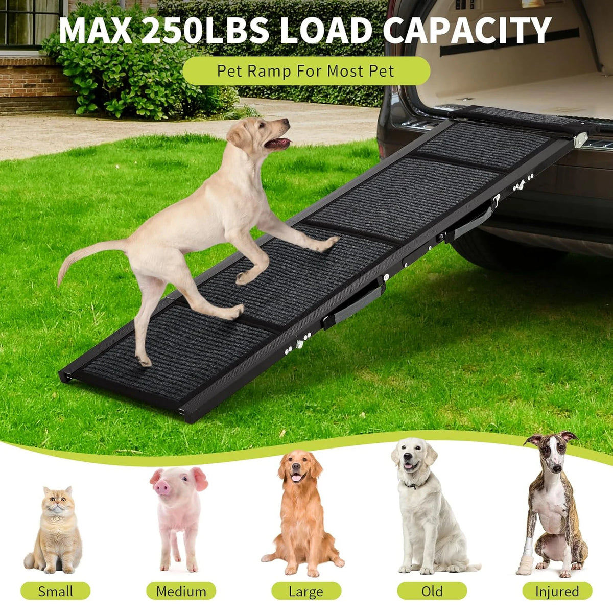 Rampa para Mascotas