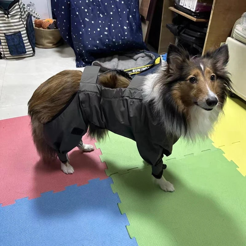 Chubasquero de Cuerpo Completo para Perros Medianos y Grandes
