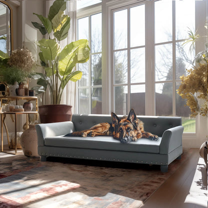 Sofá Premium Elevado para Mascotas