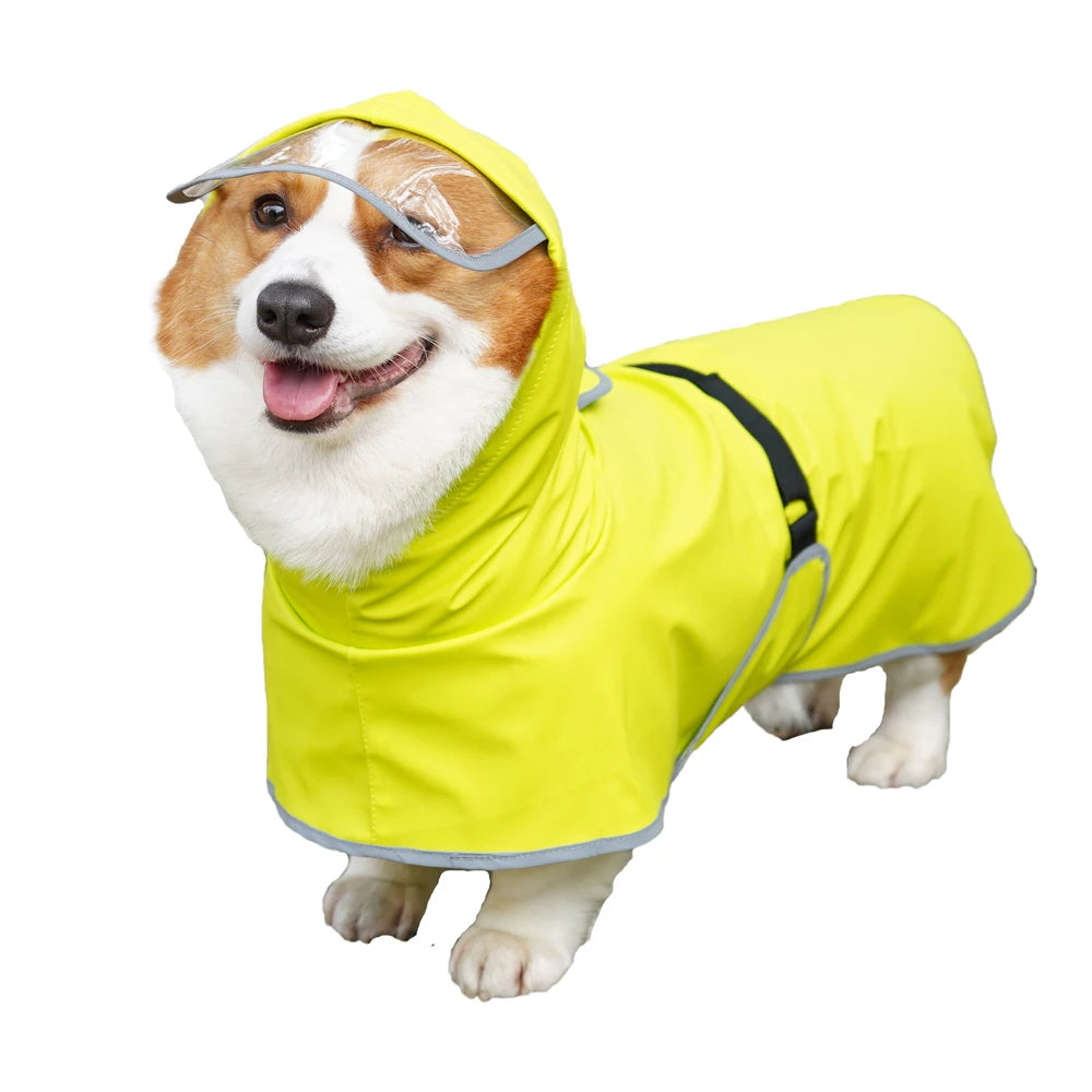 Chubasquero Verde Fluorescente con Capucha para Perros