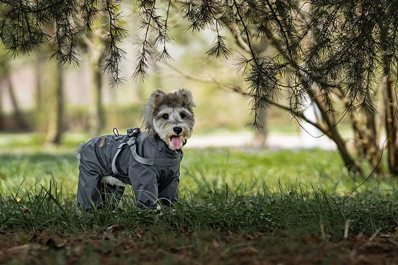 Chubasquero Reflectante con Arnés Integrado para Perro