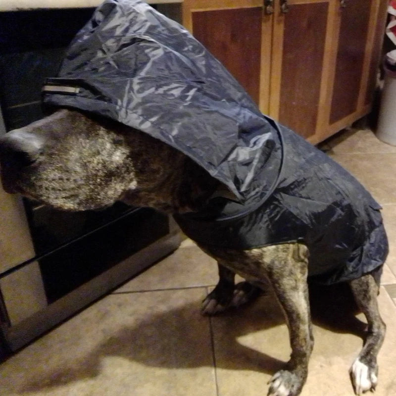 Chubasquero con Capucha para Perros de S a 6XL