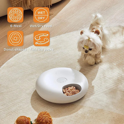 Alimentador Inteligente, Comedero automático recargable apto para comida húmeda