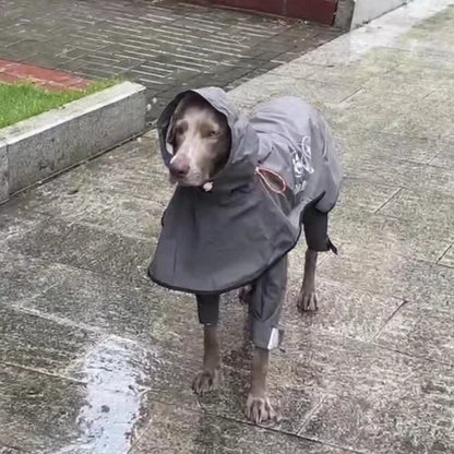 Chubasquero de Cuerpo Completo para Perros Medianos y Grandes