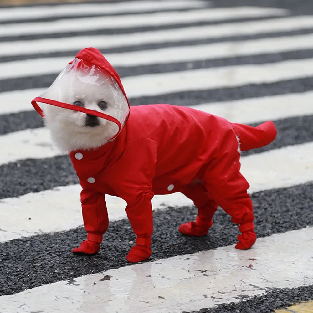 Chubasquero traje para Perro con Capucha y Botas para Lluvia y Frío