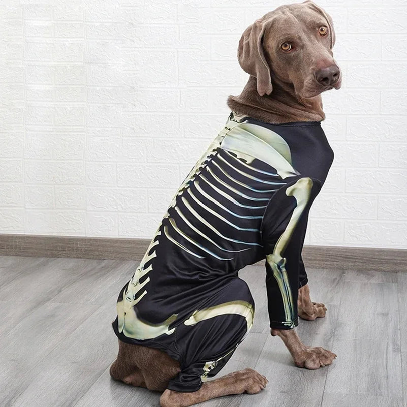 Disfraz de Esqueleto para Perro – Traje de Halloween