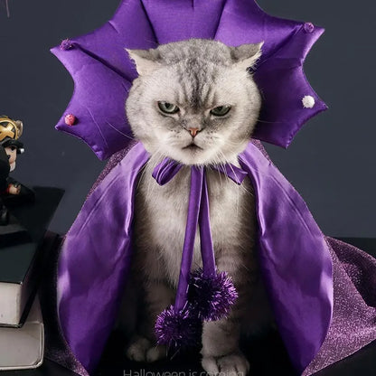 Disfraz de Halloween para Perros y Gatos – Capa y Sombrero de Bruja