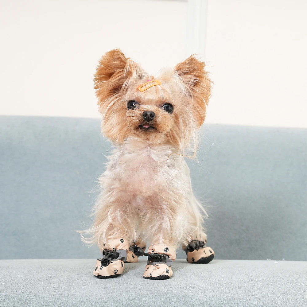 Botas Ajustables para Perro con Suela Antideslizante – Juego de 4