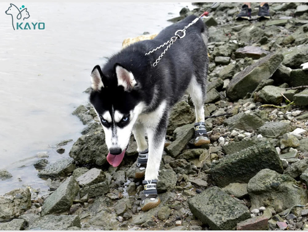 Botas Reflectantes Antideslizantes para Perro – 4 Piezas