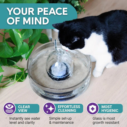 Fuente de vidrio de agua automática para mascotas (90 oz / 2,7 l)