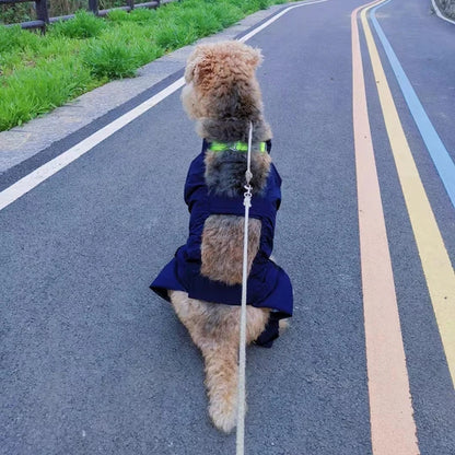 Chubasquero de Cuerpo Completo para Perros Medianos y Grandes