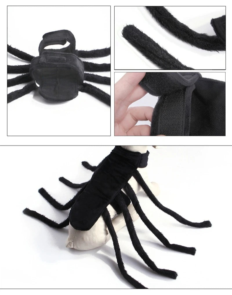 Disfraz de Araña para Mascotas – Diseño de Pecho y Espalda, Halloween