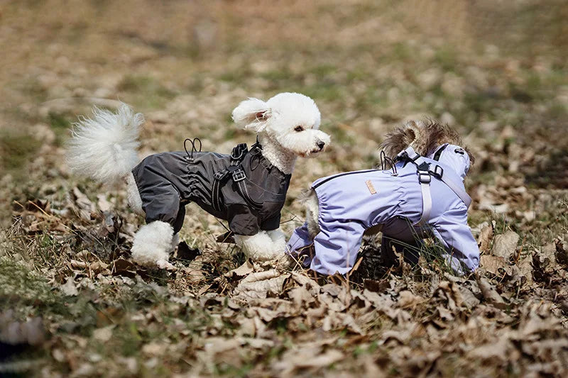 Chubasquero Reflectante con Arnés Integrado para Perro