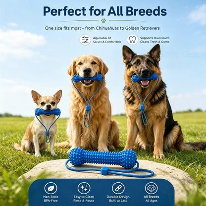 Juguete Masticable Dental para Perros – Cepillo de Limpieza Bucal