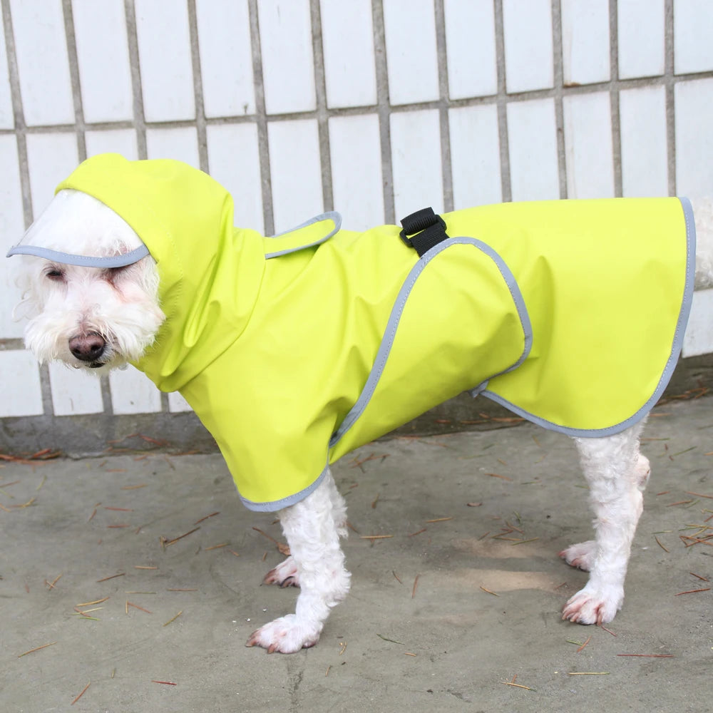 Chubasquero Verde Fluorescente con Capucha para Perros