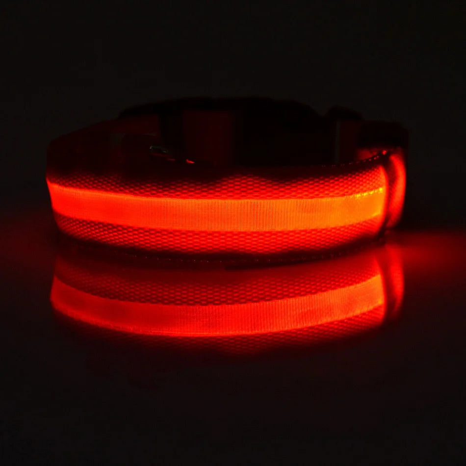 Collar LED para Perros de Nylon – Luminoso para–Paseos Nocturnos