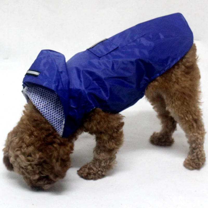Chubasquero con Capucha para Perros de S a 6XL