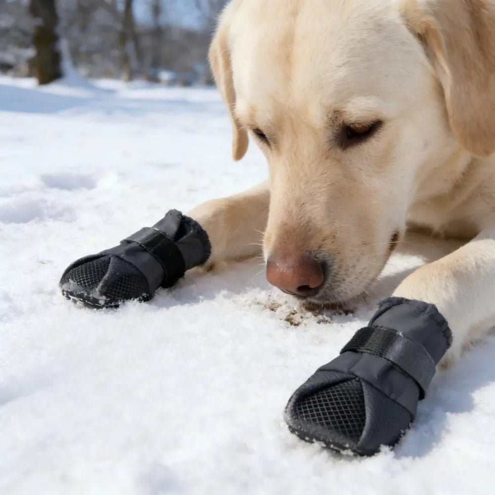 Botas Altas Antideslizantes para Perro – 4 Piezas