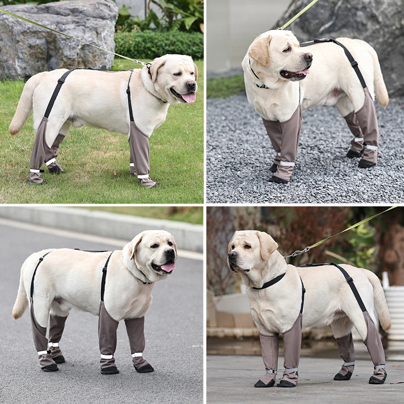 Botas Antideslizantes para Perro con Correas de Sujeción