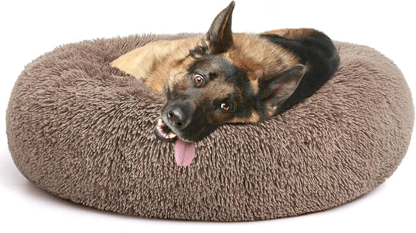 Cama Redonda Relajante para Mascotas