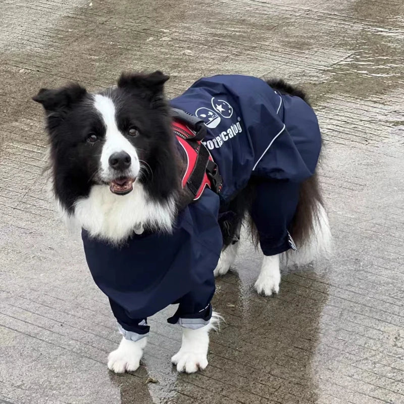 Chubasquero de Cuerpo Completo para Perros Medianos y Grandes