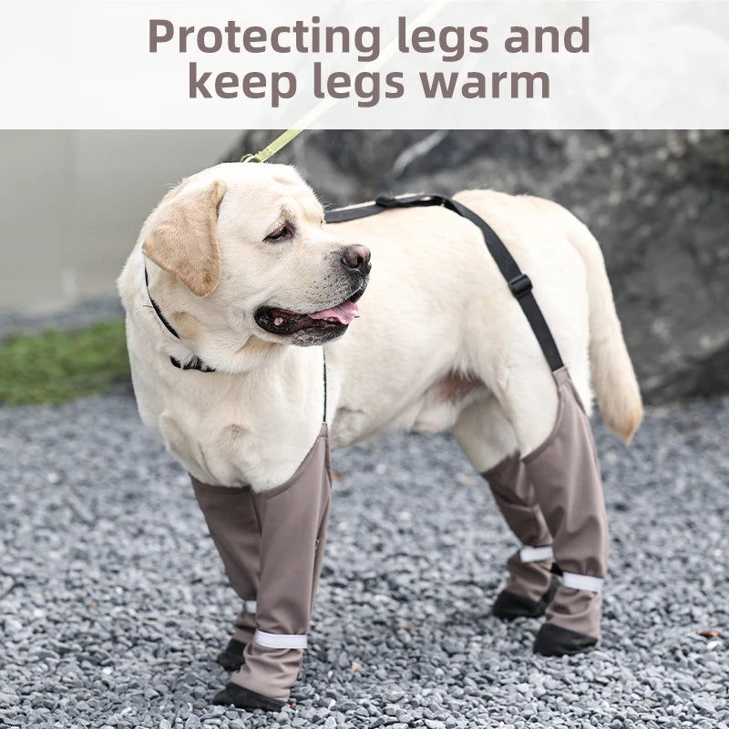 Botas Antideslizantes para Perro con Correas de Sujeción