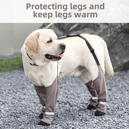 Botas Antideslizantes para Perro con Correas de Sujeción