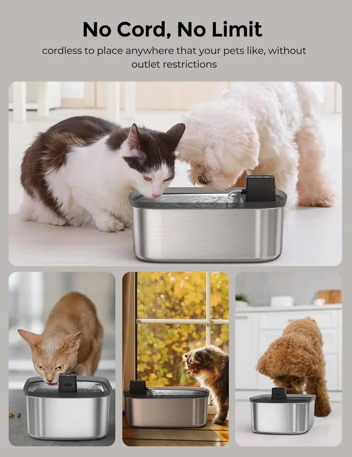 Fuente de Agua Inteligente para Mascotas