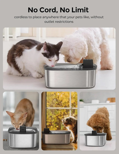 Fuente de Agua Inteligente para Mascotas