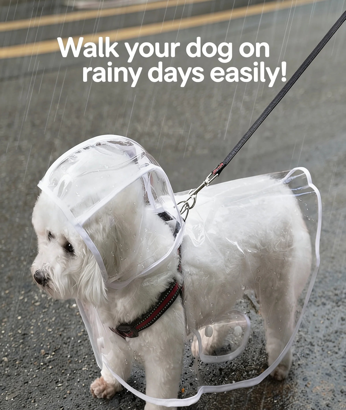 Chubasquero Transparente Ligero para Perro