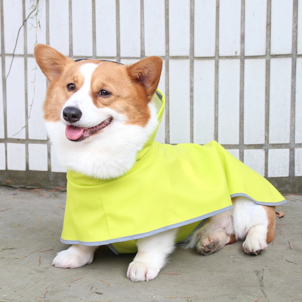 Chubasquero Verde Fluorescente con Capucha para Perros
