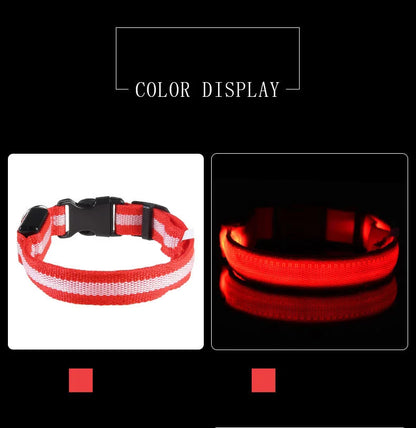 Collar LED para Perros de Nylon – Luminoso para–Paseos Nocturnos