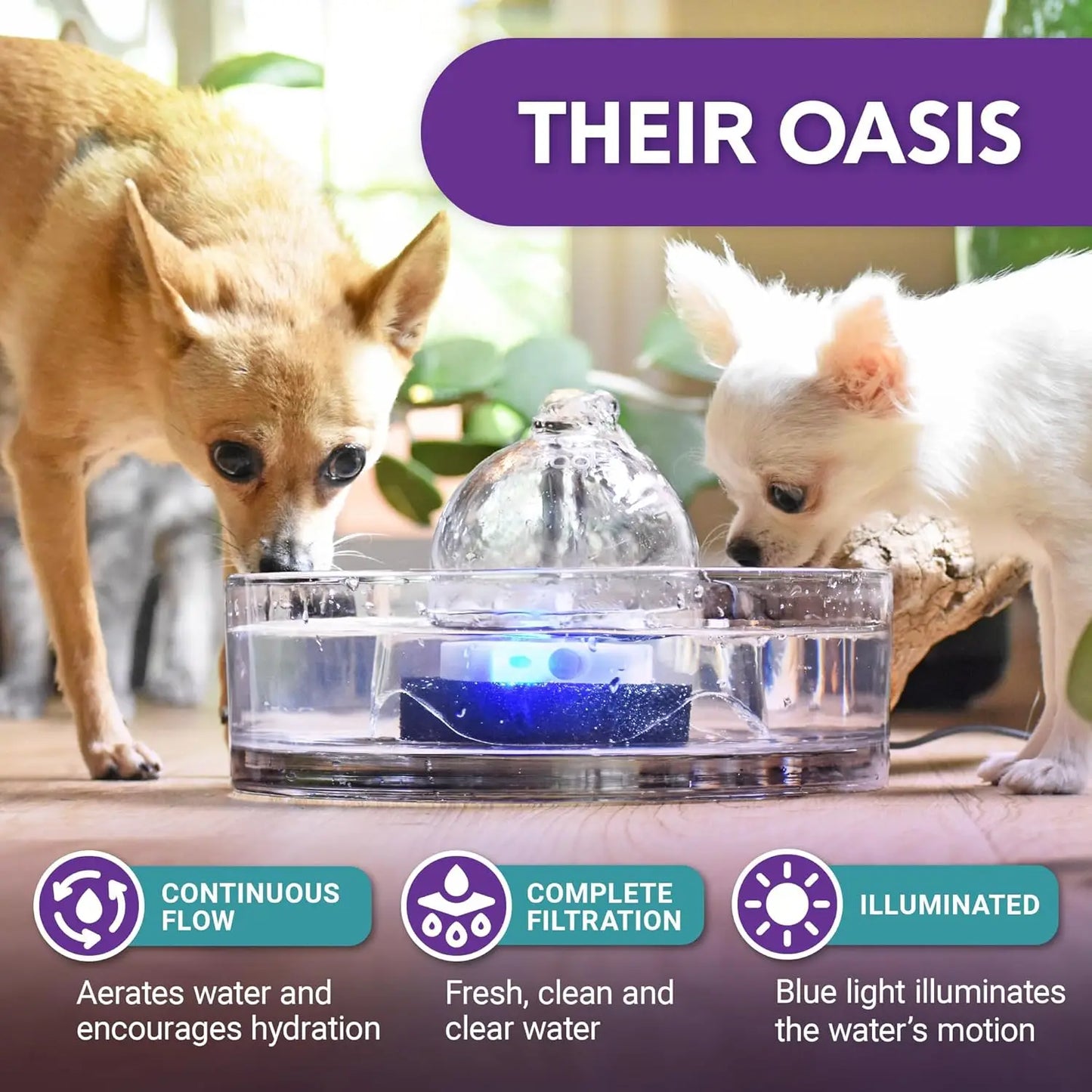 Fuente de vidrio de agua automática para mascotas (90 oz / 2,7 l)