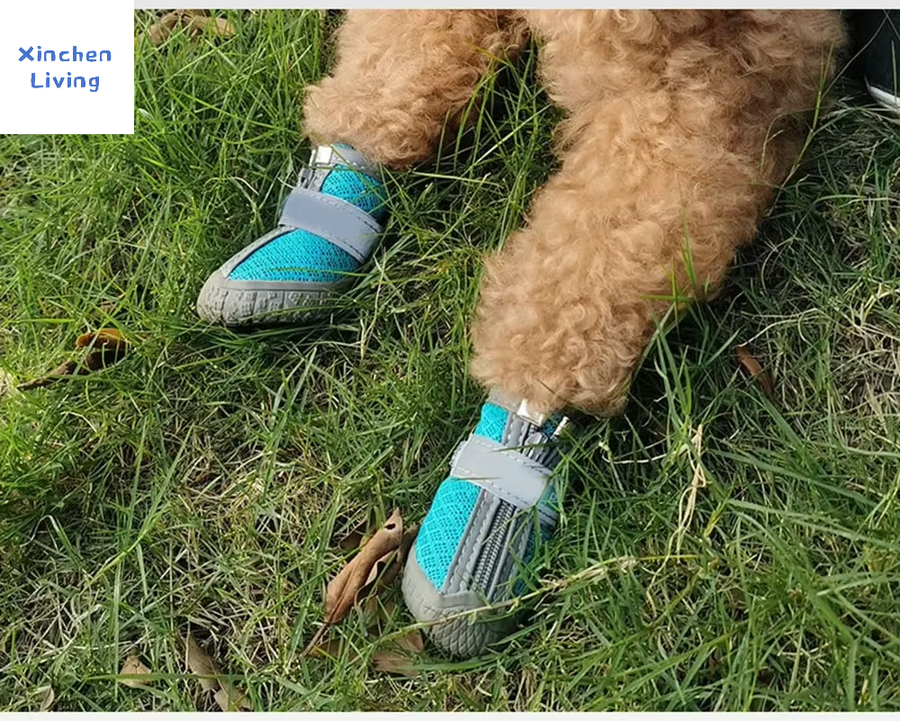 Botas de Malla para Perro con Suela Antideslizante y Detalles Reflectantes